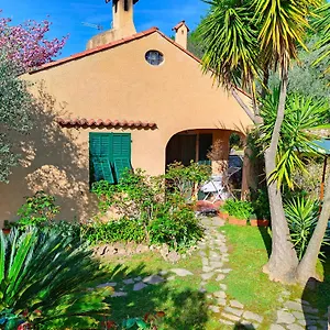  Bed & Breakfast L'uliveto D'argento